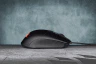 HARPOON RGB PRO FPS/MOBA Gaming Mouse (AP) - Image 10